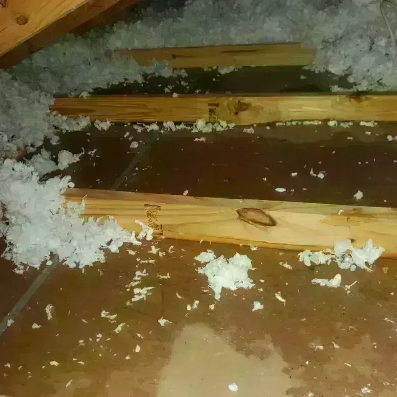 Attic Water Damage in Whiteville, NC